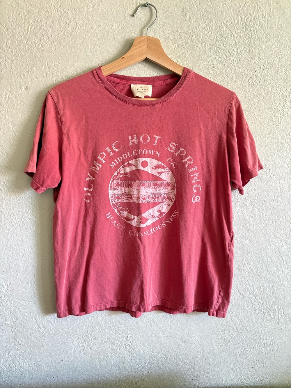 Sezane Olympic Hot Springs Graphic Tee